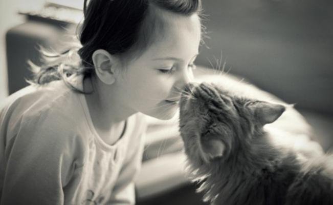 Gato junto a su dueña